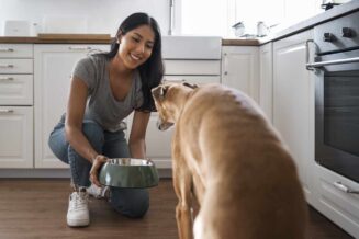 Jak dzielimy karmy dla psów? Sprawdź i dopasuj żywienie do potrzeb czworonoga!